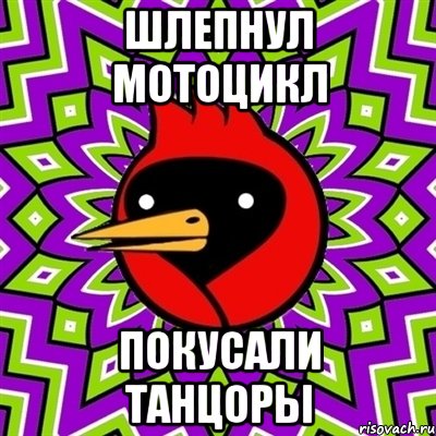 Шлепнул мотоцикл Покусали танцоры, Мем Омская птица