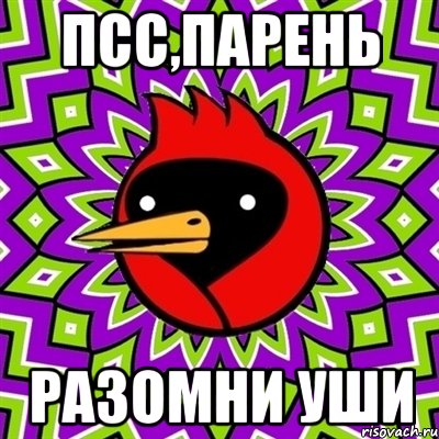 Псс,парень разомни уши, Мем Омская птица