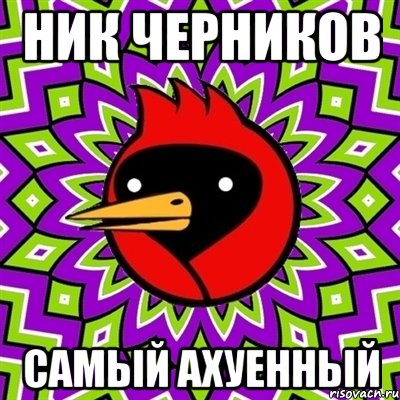 Ник Черников Самый ахуенный, Мем Омская птица
