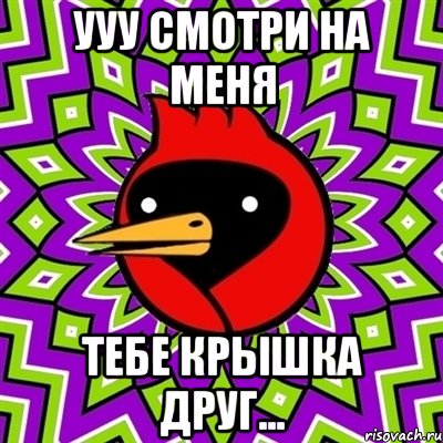 УУУ смотри на меня Тебе крышка друг..., Мем Омская птица
