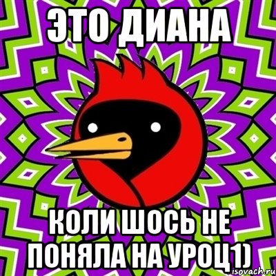 Это Диана коли шось не поняла на уроц1), Мем Омская птица