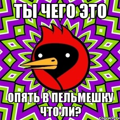 Ты чего это Опять в пельмешку что ли?, Мем Омская птица