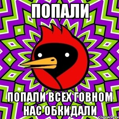 попали попали всех говном нас обкидали, Мем Омская птица