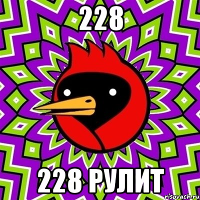 228 228 рулит, Мем Омская птица