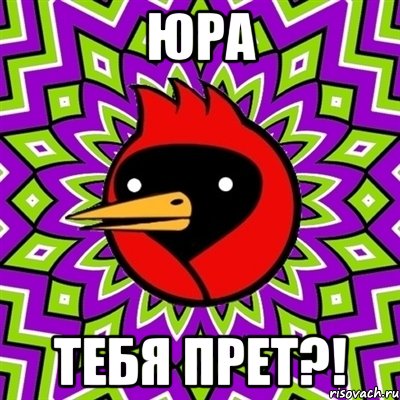 юра тебя прет?!, Мем Омская птица