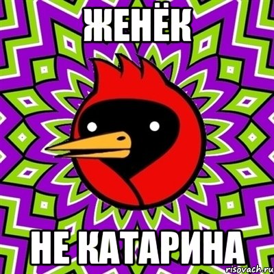 Женёк не Катарина, Мем Омская птица