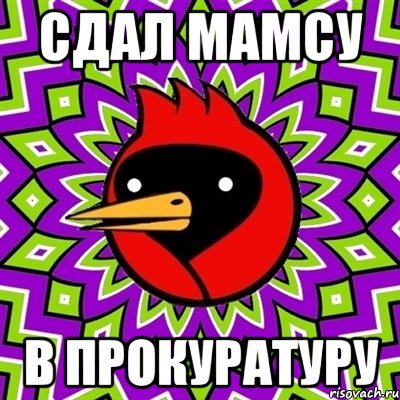 Сдал Мамсу В прокуратуру, Мем Омская птица