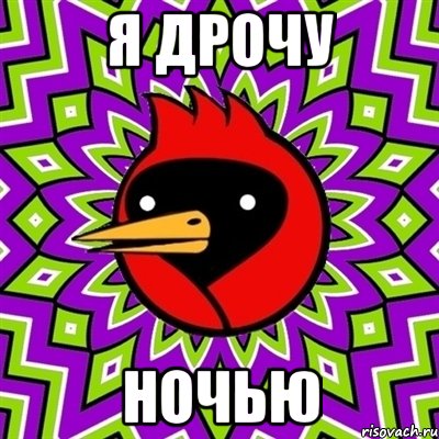 Я ДРОЧУ НОЧЬЮ, Мем Омская птица