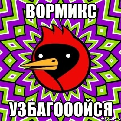 вормикс узбагооойся, Мем Омская птица