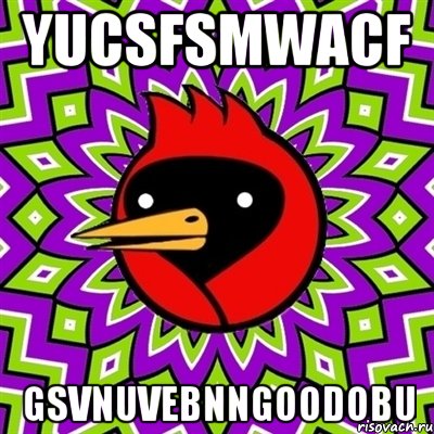 yuCSFSmwaCf GSVnUvEBNNGoodoBU, Мем Омская птица