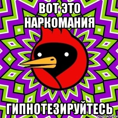 вот это наркомания гипнотезируйтесь, Мем Омская птица