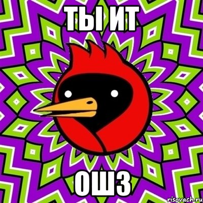 ты ит ошз, Мем Омская птица