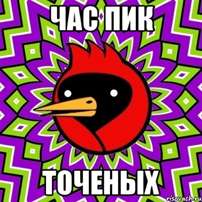 ЧАС ПИК ТОЧЕНЫХ, Мем Омская птица