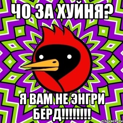 ЧО ЗА ХУЙНЯ? Я ВАМ НЕ ЭНГРИ БЕРД!!!!!!!!, Мем Омская птица