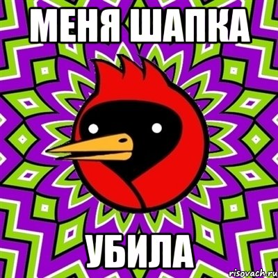 меня шапка УБИЛА, Мем Омская птица