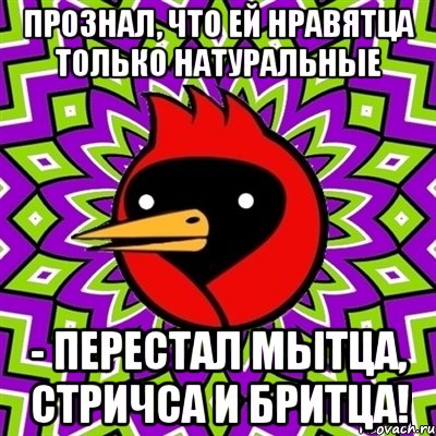 Прознал, что ей нравятца только натуральные - перестал мытца, стричса и бритца!, Мем Омская птица