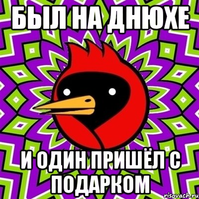 Был на днюхе и один пришёл с подарком, Мем Омская птица