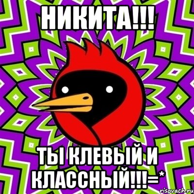 Никита!!! Ты клевый и классный!!!=*, Мем Омская птица