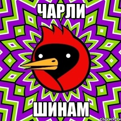 Чарли Шинам, Мем Омская птица