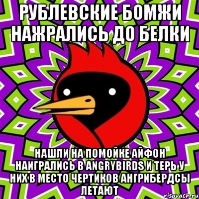 Рублевские бомжи нажрались до белки Нашли на помойке айфон наигрались в AngryBirds и терь у них в место чертиков ангрибердсы летают, Мем Омская птица