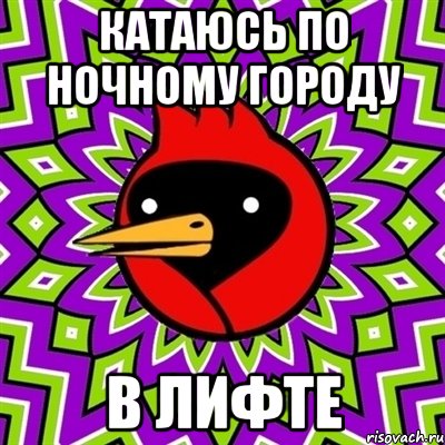 Катаюсь по ночному городу в лифте, Мем Омская птица