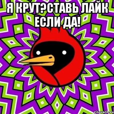 Я крут?Ставь лайк если да! , Мем Омская птица
