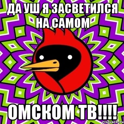 да уш я засветился на самом ОМСКОМ ТВ!!!!, Мем Омская птица
