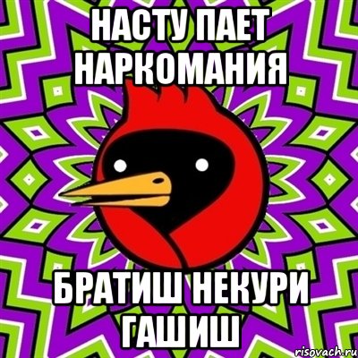 Насту пает наркомания Братиш некури гашиш, Мем Омская птица