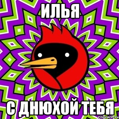 илья с днюхой тебя, Мем Омская птица
