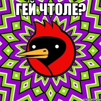 гей чтоле? , Мем Омская птица