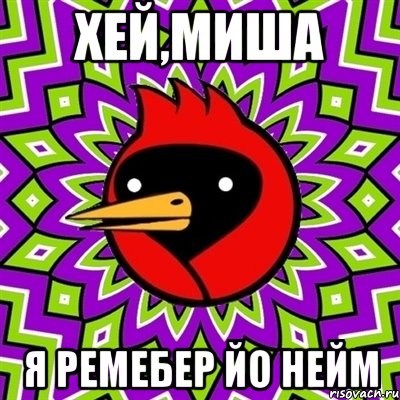Хей,Миша Я ремебер йо нейм, Мем Омская птица
