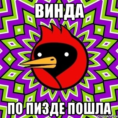 Винда По пизде пошла, Мем Омская птица
