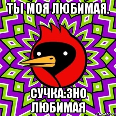 Ты моя любимая. Сучка:3НО ЛЮБИМАЯ, Мем Омская птица