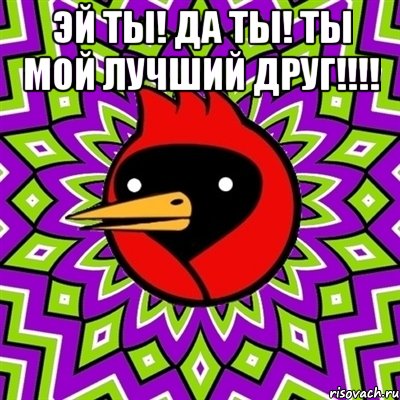 Эй ты! Да ты! Ты мой Лучший друг!!!! , Мем Омская птица