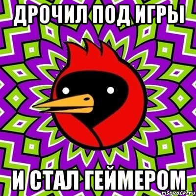 дрочил под игры и стал геймером, Мем Омская птица