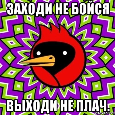 Заходи не бойся Выходи не плач., Мем Омская птица