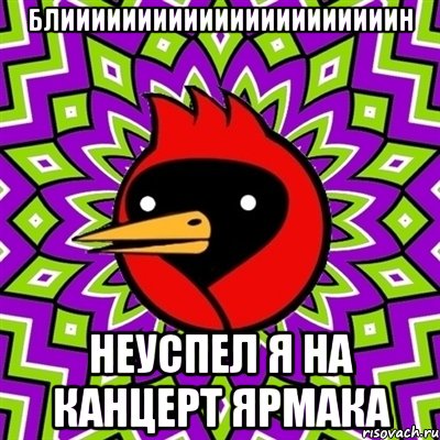 блиииииииииииииииииииииин неуспел я на канцерт ярмака, Мем Омская птица