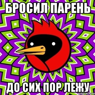 бросил парень до сих пор лежу, Мем Омская птица