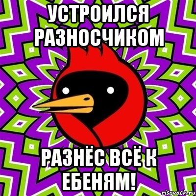 устроился разносчиком разнёс всё к ебеням!, Мем Омская птица