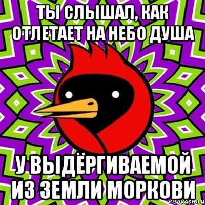 ты слышал, как отлетает на небо душа у выдёргиваемой из земли моркови, Мем Омская птица
