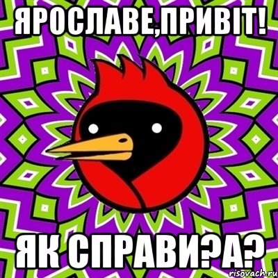 Ярославе,привіт! Як справи?А?, Мем Омская птица