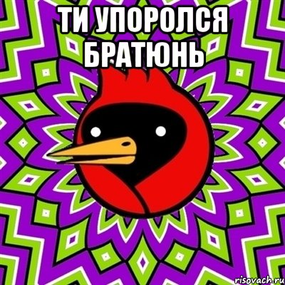 ТИ УПОРОЛСЯ БРАТЮНЬ , Мем Омская птица