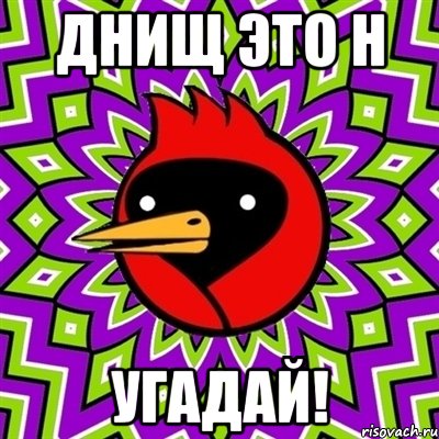 Днищ это н Угадай!, Мем Омская птица
