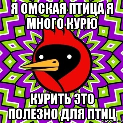 я омская птица я много курю курить это полезно для птиц, Мем Омская птица