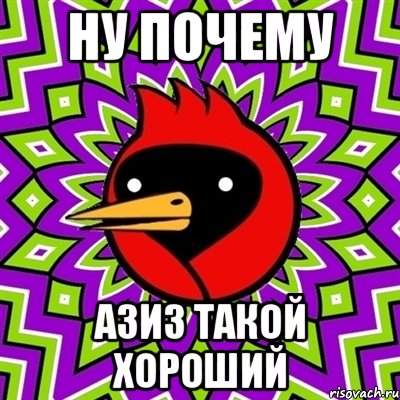 НУ ПОЧЕМУ АЗИЗ ТАКОЙ ХОРОШИЙ, Мем Омская птица