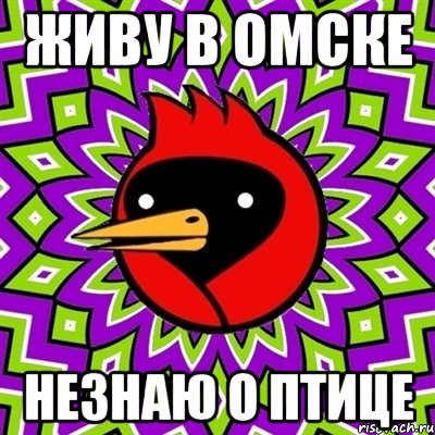 живу в Омске НЕзнаю о птице, Мем Омская птица