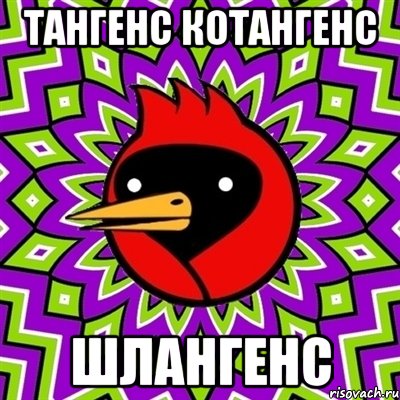 тангенс котангенс шлангенс, Мем Омская птица