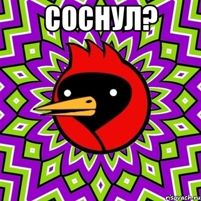 Соснул? , Мем Омская птица