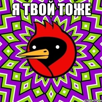 Я твой тоже , Мем Омская птица