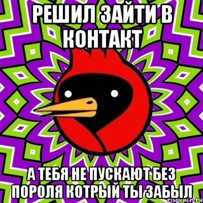 решил зайти в контакт а тебя не пускают без пороля котрый ты забыл, Мем Омская птица